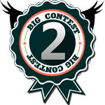 2 место на AMVNews: Big Contest 2014