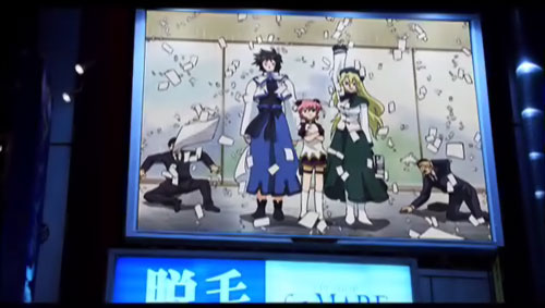 Lost in an Anime Dream