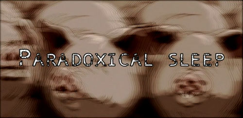 Paradoxical Sleep