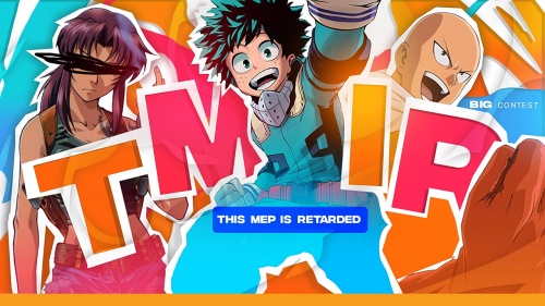 T.M.I.R. (this mep is retarded)