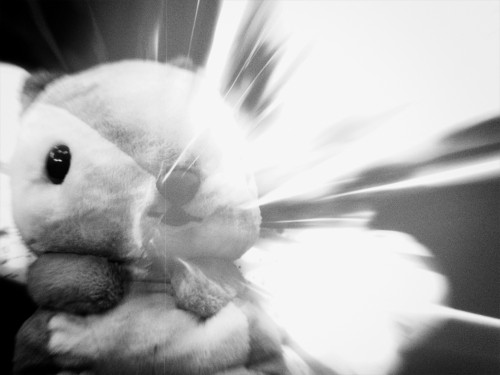 ATTACK of The Giant Mega Squirrel