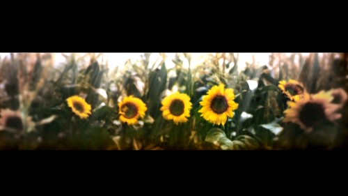 Waltz S | 10th Anniversary Remake