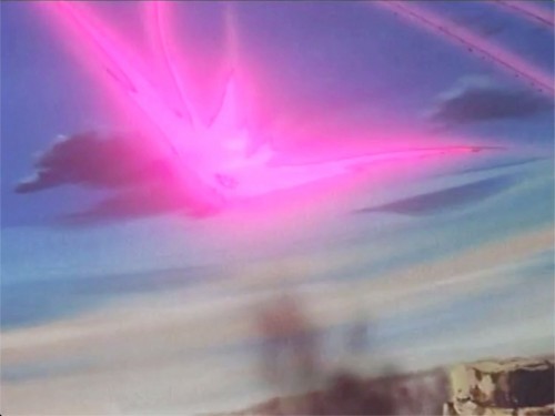 Tragic Amaryllis Heart