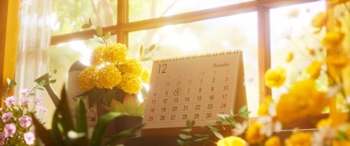 Niki and the Beautiful Dreams