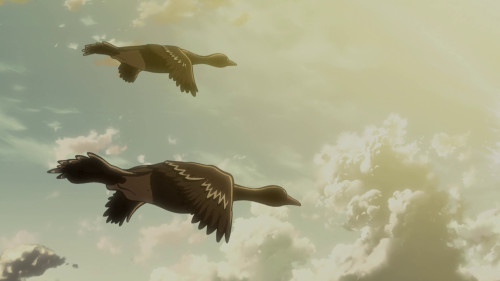 Attack On Titan「AMV」Where are we going