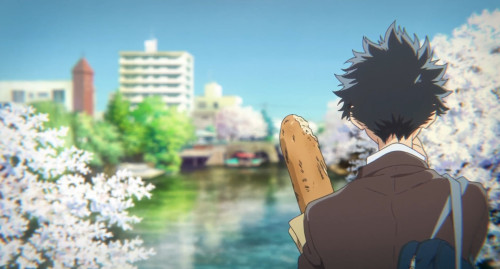 Everyone needs friends