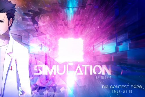 Simulation