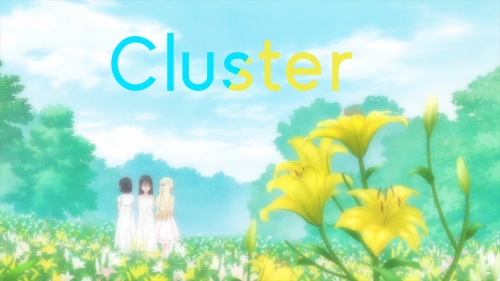 Cluster