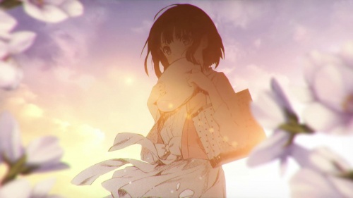 introductory chapter