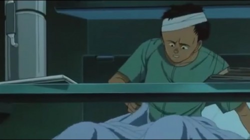 Пророчество старой бабки с попугаем