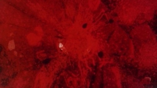 The Violence of Channel X