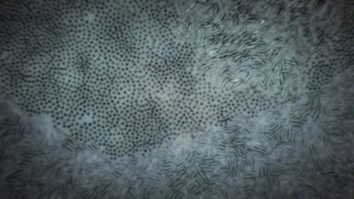 DrawChildren PeaceYou 3: Житие Онаниста