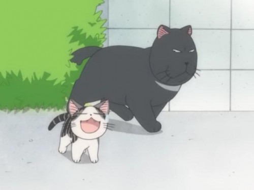 Chi & The Not So Company