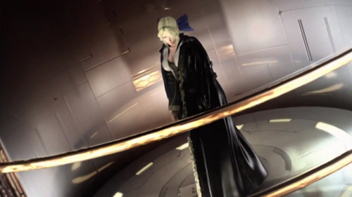 Petals of White Rose