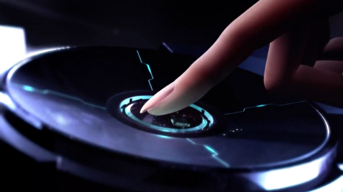 Petals of White Rose