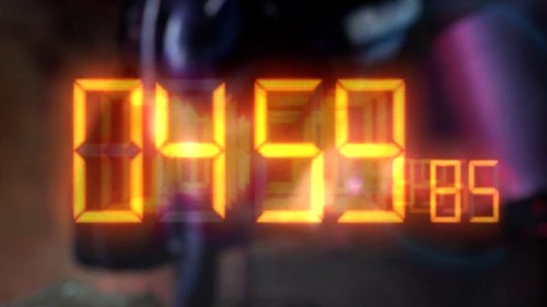 Petals of White Rose