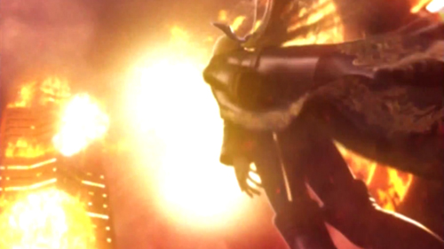 Petals of White Rose