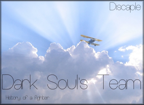 History of a fighter