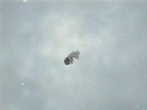 Les Tristesses Meurtrieres