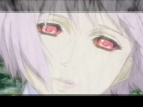 Drove Through Flower-Girl To Get Paradise