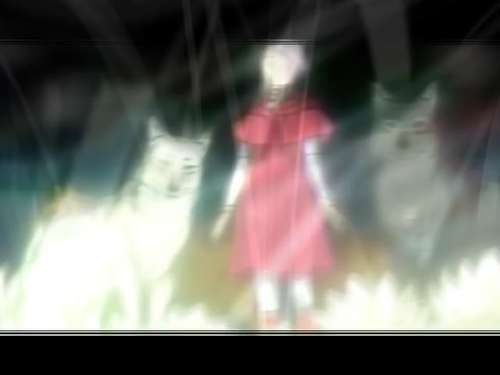 Drove Through Flower-Girl To Get Paradise