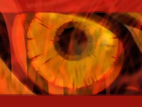 Drove Through Flower-Girl To Get Paradise